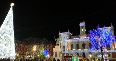 programa navidad valladolid 2024-2025