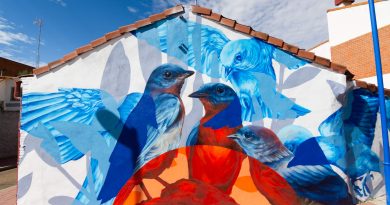 arte urbano en valladolid mural
