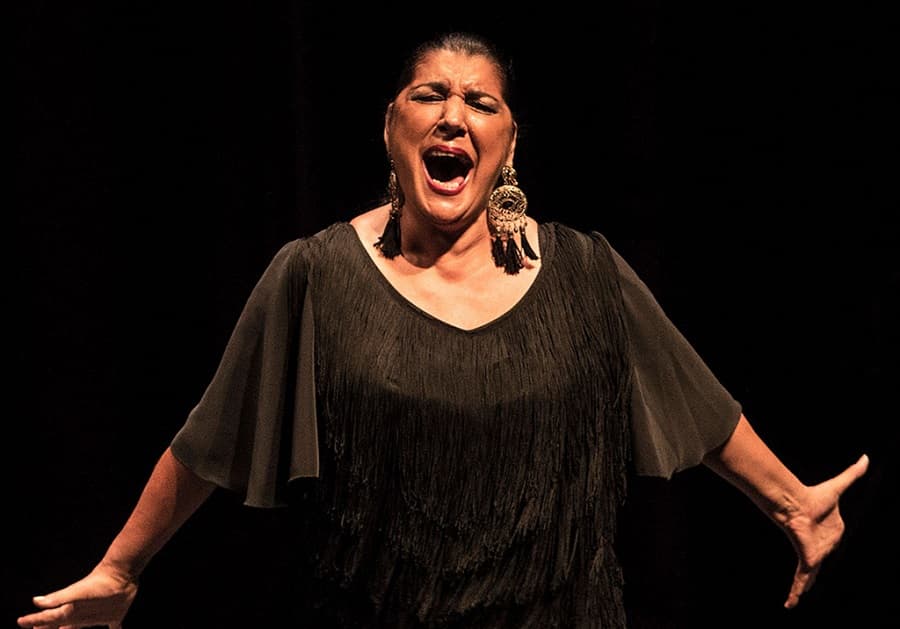 Jornadas flamencas Valladolid 2025