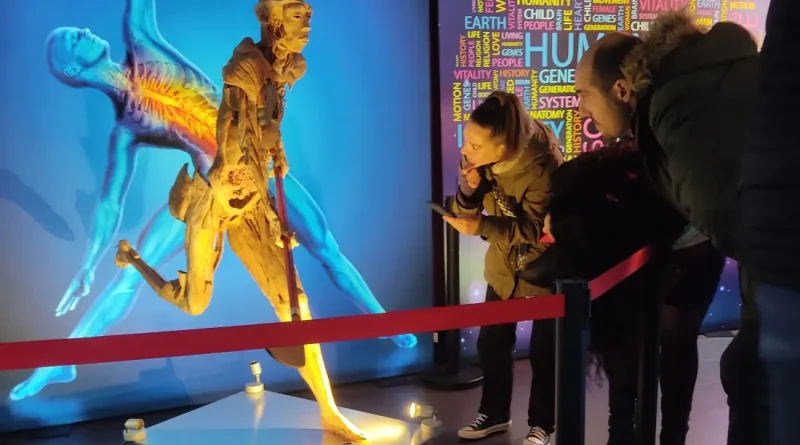 Cuerpo humano observado en Bodies Evolution