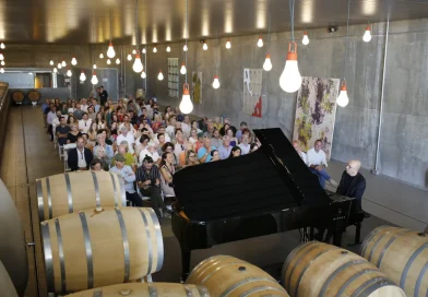 arte y vino en valladolid